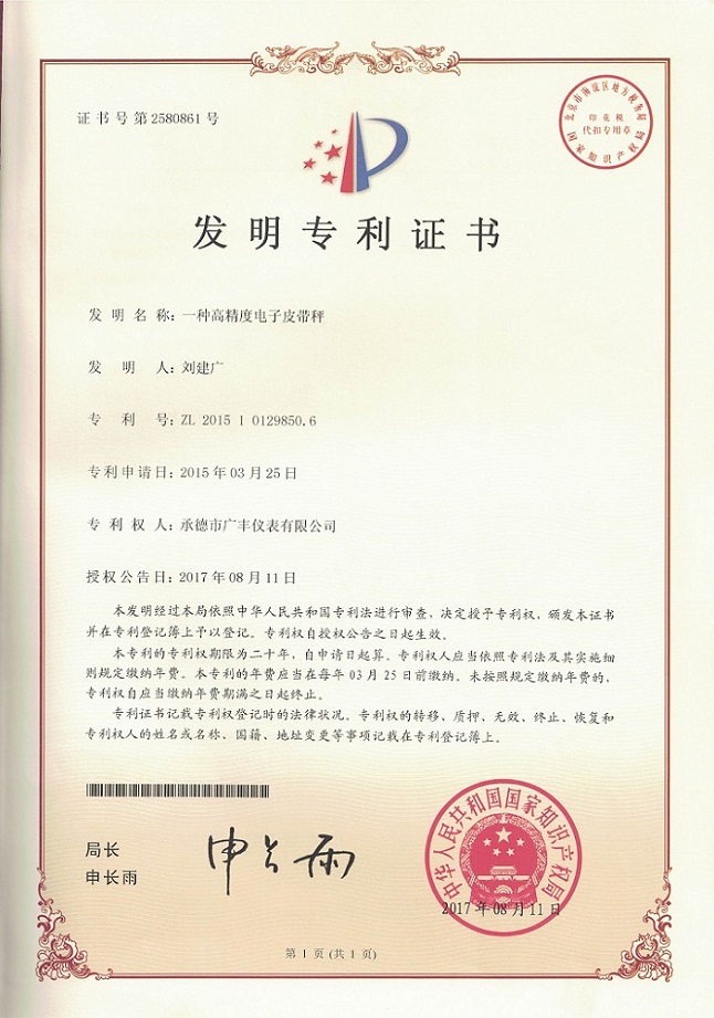 一種高精度電子皮帶秤發(fā)明專利